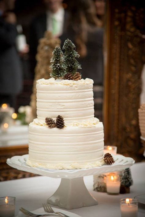 2 Tier Christmas Wedding Cake, Christmas Trees Wedding Ceremony, Southern Christmas Wedding, Winter Wedding Cake Toppers, Christmas Wedding Cake Topper, Christmas Wedding Simple, Simple Winter Wedding Decor, Simple Winter Wedding Cake, Christmas Wedding Cake Table