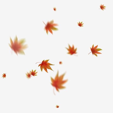 Maple Leaf Falling, Fall Red Leaves, Maple Leaf Clipart, Fall Overlay, Fall Leaves Background, Red Png, Wattpad Background, Silver Maple Leaf, Leaves Png