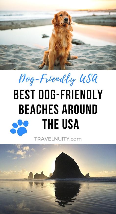 Dog Friendly Vacation, Best Island Vacation, Dog Friendly Beach, Usa Beaches, Pet Friendly Hotels, Dog Beach, Dog Travel, Island Vacation, Bora Bora