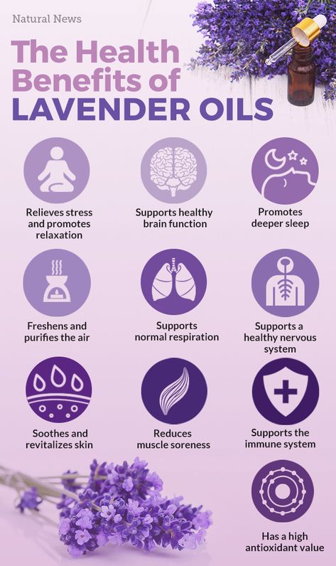 Why lavender is the most important essential oil to use right now Lavender Oil Witchcraft, Lavender Healing Properties, Benefits Of Lavender Plants, Essential Oils And Benefits, How To Use Lavender Essential Oil, How To Make Lavender Oil, Lavender Properties, Lavender Doterra, Lavander Oil