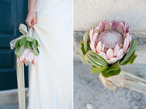 Single Flower Bouquet, Protea Wedding, Protea Bouquet, Bouquet Bride, Spider Plant, Modern Luxe, Teal And Gold, Single Flower, Tropical Wedding