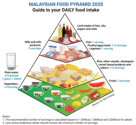 Malaysian Food Pyramid updated for better nutritional guidance 2023 Food Pyramid, Piramid Makanan Malaysia, Pyramid Food, Healthy Eating Pyramid, Vegan Food Pyramid, Healthy Grocery Shopping, Healthy Plate, Nutrition Month, Nutrition Chart