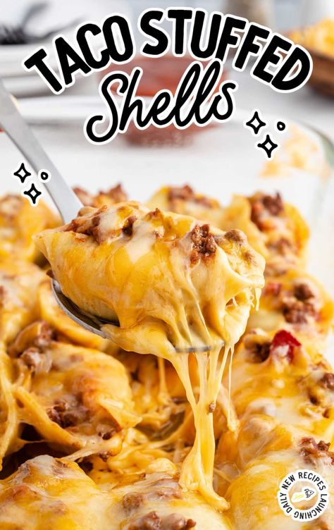 Taco Stuffed Shells - Spaceships and Laser Beams Stuffed Taco Shells Ground Beef, Stuffed Shells Taco Recipe, Stuffed Taco Pasta Shells, Taco Pasta Shells, Taco Stuffed Shells Recipe, Supper Casseroles, Stuff Shells, Mexican Stuffed Shells, Convenient Dinner