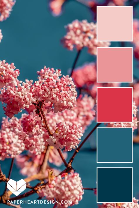 @1969Mauricio Blue Color Palette, Color Schemes Colour Palettes, Pink Palette, Color Palette Pink, Color Palate, Blue Colour Palette, Color Palette Design, Paper Heart, Color Inspo