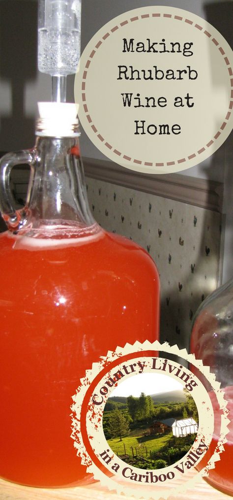 Rhubarb Wine, Wine Making Recipes, Wine At Home, Different Types Of Wine, Make Your Own Wine, Wine Recipe, Pinot Noir Wine, Liqueurs Recipes, Wine Magazine