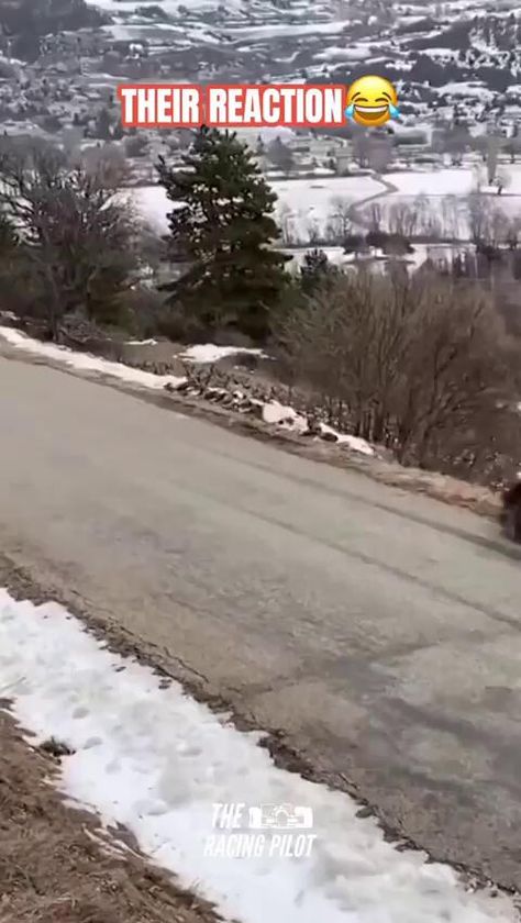 Race car drivers reaction to their crash.【Video】 Sweaty Palms, Funny Accidents, Wow Video, Top Memes, Rally Car, Car And Driver, Car Safety, Anaconda, Classic Cars Muscle