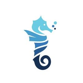 Sea Horse Logo, Ndc Logo, Seahorse Logo, Sea Logo, Seahorse Tattoo, Horse Logo, Sea Horse, Air France, Surf Style