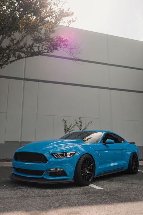 Grabber Blue 2017 Ford Mustang GT | Bill Brown Ford Livonia #BillBrownFordLivonia #BillBrownFord #Mustang #FordMustang #FordPerformance #MustangsAddiction #Stang #Shelby #MustangsofInstagram #Ford #MustangFanClub #MustangGT #MustangSociety #GT500 #GT350 #MustangWorlds #MustangGT500 #WorldWIdeStangs #MustangMagazine #SlammedStangs #IGMustangNation #ThePonyAddicts #MustangsUniverse #S550 #s550Only #Roush #AmericanMuscle #WorldOfMustang #MuscleCar #Mustang_Fans #MustangFanClub 2017 Mustang Gt, Tesla Car Aesthetic, Ford Mustang 5.0 V8 Gt, Blue Mustang Gt, Light Blue Mustang, Dark Purple Mustang, New Tesla Roadster, Mustang Gt 350, Sports Cars Mustang