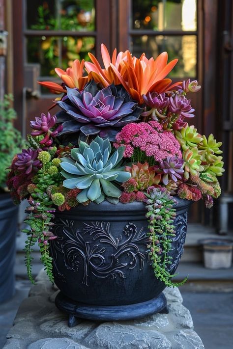 Korean Succulents, Plants In Small Spaces, Succulent Garden Landscape, Container Garden Ideas, Fall Container Gardens, Succulent Landscape Design, Succulent Garden Design, Succulent Landscaping, Potted Plants Outdoor