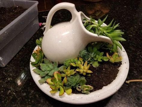 I picked up a pitcher & chipped basin at a garage sale and have been waiting for inspiration to spark then a friend gave me a box of succulent cuttings & it happened. The first thing I had to figure out was how to get the pitcher at the angle and elevation that I wanted so it appeared to be "pouring out" the plants. Thats where floral foam came in. I carved & shaved the foam until it resembled something that might hold the pitcher & fit somewhat into the basin. I also kin… Wreath Arrangements, Easy Diy Thanksgiving, Succulent Display, Succulent Cuttings, Dry Garden, Garden Junk, Succulent Soil, Pot Plants, Diy Plant Stand