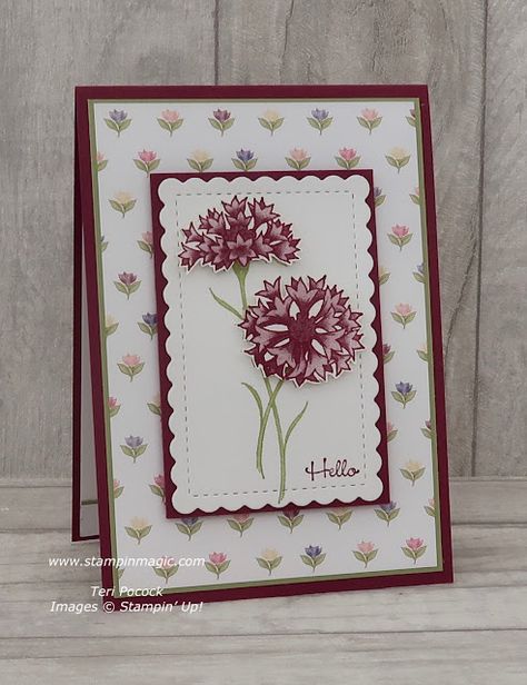 Stampin Up Wonderful World, Cards Design Ideas, Handmade Flower Pot, Card Design Ideas, Handmade Flower Pots, Designer Paper Cards, Stampin Up Karten, Stampin Up Birthday Cards, Card Gifts