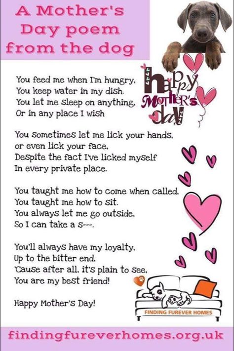 [Humor] Happy Mother's Day to those on CF, who are not CF... Dog Poems, Mothers Day Poems, Dog Info, Animal Quotes, Dog Quotes, Dog Care, Dog Life, I Love Dogs, The Dog