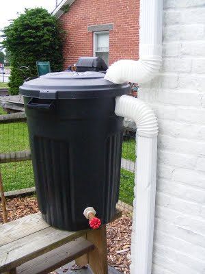 Want to collect rainwater at home and save money on water? Build one of these rainwater harvesting systems at home with barrels or tanks. Diy Rain Barrel, Rain Barrel System, Barrels Diy, Water Collection System, Water From Air, Rainwater Harvesting System, Water Barrel, Water Collection, Rainwater Harvesting