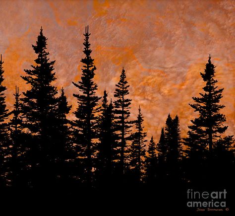 Evergreen Silhouette, Painting Vans, Tree Silhouette Sunset, Forest Schools, Tree Drawing Simple, Silhouette Artist, Snowboard Art, Pine Tree Silhouette, Fiery Sunset