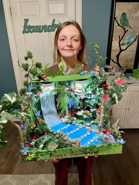 Rainforest Crafts, Rainforest Project, Rainforest Biome, Diorama Kids, Habitats Projects, Creative School Project Ideas, Candy Land Christmas Decorations, Candy Land Christmas Decorations Diy, Candy Land Christmas Decorations Outdoor