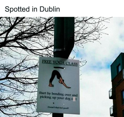 “Meanwhile In Ireland”: 50 Of The Funniest New Pics That Explain Why People Can't Get Enough Of Ireland Ireland Memes Funny, Ireland Funny, Irish Memes, Irish Humor, Humor Pictures, Celebrity Kdrama, Celebrity Pfp, Class Memes, Moving To Ireland