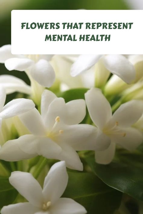 Mental health is a vital component of our overall well-being, and finding ways to support and promote it is crucial. Flowers have long been used as a symbol Strength Flower, Mental Health Meaning, Importance Of Mental Health, 10 Flowers, Tattoo Flowers, Mental Health Disorders, Relaxation Techniques, Traditional Medicine, Improve Mood