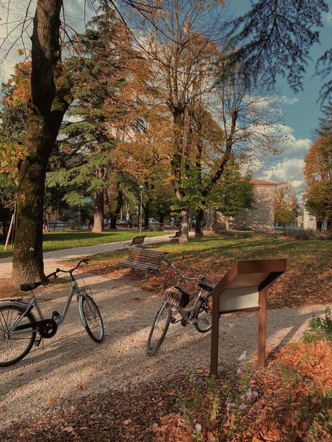 Autumn Bike Ride Aesthetic, Autumn Bike Ride, Bright Fall Aesthetic, Fall Bike Ride, Bike Riding Aesthetic, Bike Ride Aesthetic, October Goals, Winter Dates, Aesthetic Fall Vibes