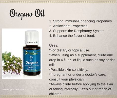 Oregano Oil Essential oil.  Love it!  Want to learn more about EO-----> www.Oils1dropatatime.com Ocotea Essential Oil, Young Living Oregano, Oregano Oil Benefits, Oregano Essential Oil, Oregano Oil, Healthy Herbs, Healthy Benefits, Respiratory System, Oil Uses