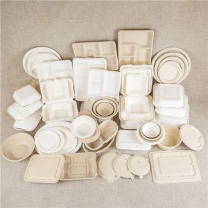 sugarcane bagasse food box ware containers products boxes pricelist Bagasse Packaging, Butter Packaging, Shoe Tray, Disposable Food Containers, Ice Hotel, Fast Lunch, Packaging Manufacturers, Food Box, Fast Food Restaurant