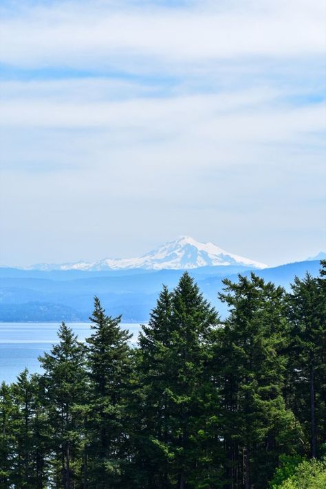 Mount Baker is seen behind evergreen trees on Lummi Island. Bellingham Washington, Time In Nature, Enjoy Time, Easy Day, In Nature, Day Trip, A Family, Washington