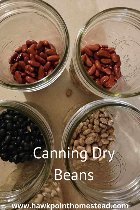 This easy recipe for canning dry beans without soaking is a great, inexpensive method to have all kinds of dry beans on your shelves for use anytime. Canning dry beans saves money, but it is also healthier than buying canned beans from the grocery store. No preservatives are added, you can add how much salt or no salt, plus you can season the beans to your preference. Cumin, chili powder, jalapenos – whatever you desire can be added to your jars of beans when canning at home. How To Pressure Can Dry Beans, Canning Dried Beans Without Soaking, How To Dry Beans, How To Can Dry Beans, Canning Dry Beans Without Soaking, Canning Dry Beans, Canning Dried Beans, Canning Beans, Dry Beans Recipe