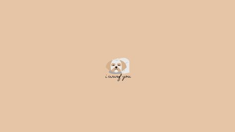 Dog Desktop Wallpaper, Minimalist Desktop Wallpaper, Dogs Aesthetic, Wallpaper Dog, Beach Poses, Desktop Wallpaper, Dogs, Movie Posters, Art