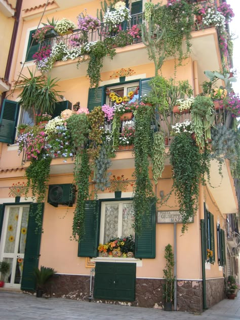 Small Balcony Flowers, Balcony Flowers Apartment, Succulents Balcony, Mediterranean Balcony, Italian Balcony, Balcony Planting, Sicilia Italy, Balcony Planters, Small Balcony Garden