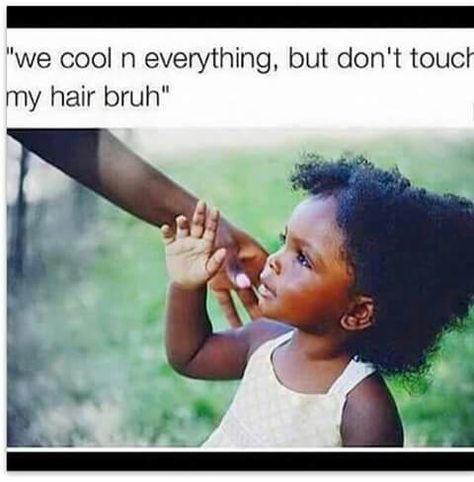 no hair touching Natural Hair Memes, Don't Touch My Hair, Hair Jokes, Black Memes, Twisted Hair, Curly Hair Problems, Hair Quotes, E Cards, Mia 3