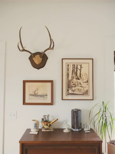 Deer Horn Decor Ideas, Modern Hunting Decor, European Mount Decor, Deer Mounts In Living Room, Deer Heads Living Room, Decorating With Deer Mounts, European Mount Ideas, Deer Antler Wall Decor, Deer Mount Decor