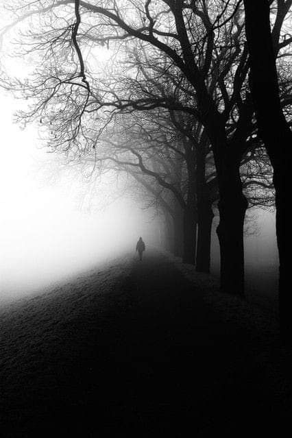 Illusion Photos, Lonely Man, Halloween Wallpaper Cute, Black And White Photo Wall, Shading Techniques, Wall Papers, Winter Scenery, The Fog, Photo Of The Day