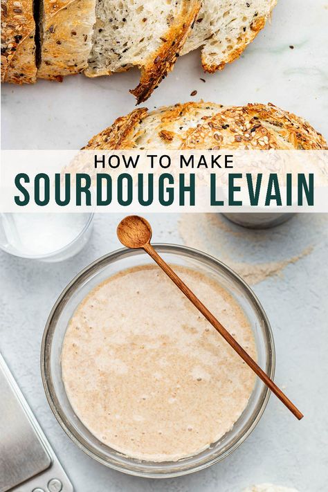 How to Make Sourdough Levain Sourdough levain is a great way to limit the amount of discard you throw away! It's made from sourdough starter you keep in the fridge. Sourdough Leaven Recipe, How To Make Sourdough Leaven, Sourdough Levain Recipes, Levain Bread Recipe, Sourdough Leaven, Levain Sourdough, Sourdough Levain, Foccacia Recipe, Sourdough Starters