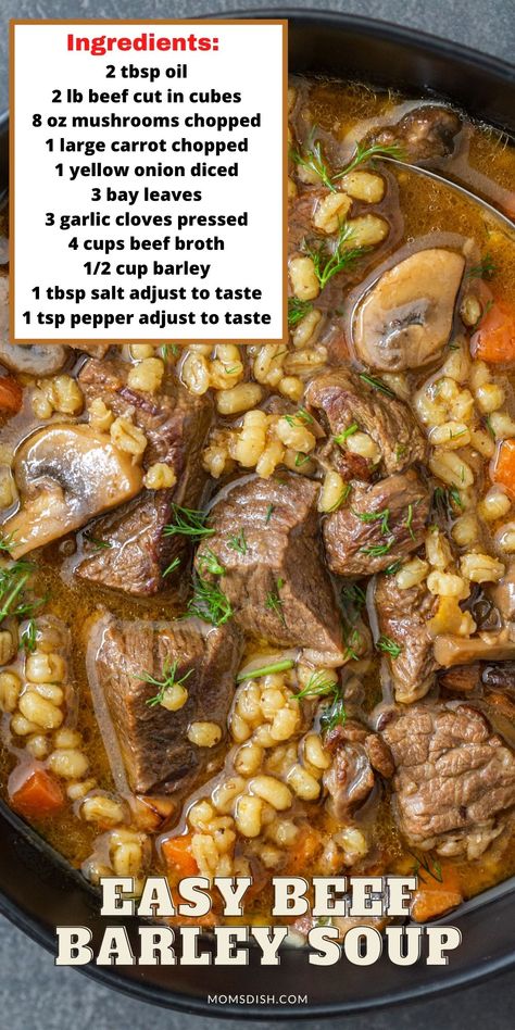 Beef Barley Soup is comfort food in a bowl. Healthy, filling and affordable, this nutritious dish is made in one pot and reheats amazingly. What else can you ask for? Easy Beef Barley Soup, Beef Soup Recipes, Crockpot Healthy, Beef Barley, Beef Barley Soup, Homemade Soup Recipe, Dinner Recipes For Family, Barley Soup, Beef Soup