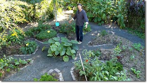 Building a Mandala Garden - The Permaculture Research Institute Homestead Planning, Edible Forest, Mandala Garden, Keyhole Garden, Urban Homes, Permaculture Gardening, Permaculture Design, Dream Yard, Food Forest