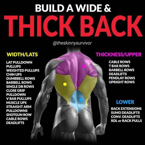 Back Workout Program, Back Workout Bodybuilding, Back Workout Routine, Workout Gym Routine, Bodybuilding Workout Plan, Gym Workout Chart, Workout Routine For Men, Gym Workouts For Men, Gym Tips