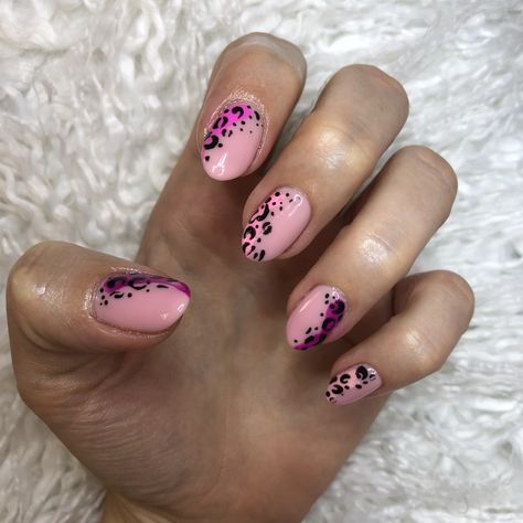 Pink Safari Nails, Pastel Leopard Print Nails, Spring Leopard Print Nails, Light Pink Leopard Nails, Nails Gel Polish Designs, Spring Cheetah Nails, Cheetah Nails Short, Hot Pink Cheetah Nails, Cheetah Nails Pink