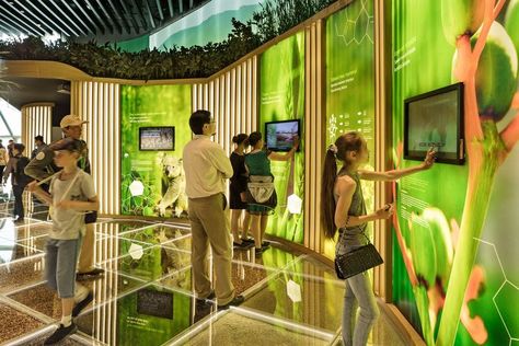 Science Gallery, Astana Kazakhstan, Eco Lodges, Museum Interior, Interactive Exhibition, Kitchen Cupboard Designs, Architecture Landmark, Forest Decor, Interactive Installation