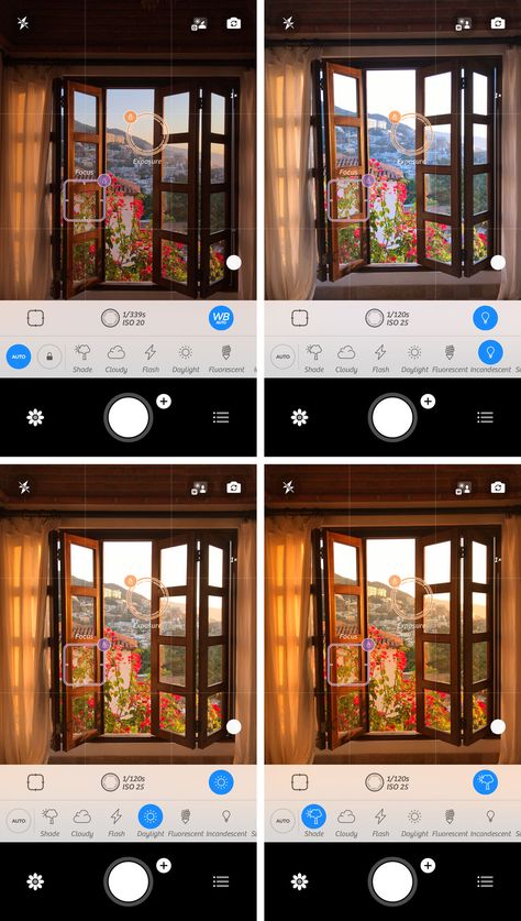 Are you looking for the best camera app for iPhone? This comparison of the 5 best iPhone camera apps will help you make the right choice. Best Cameras For Travel, Photo Tricks, Best Camera For Photography, Camera Tricks, Camera Apps, Camera App, Best Cameras For Beginners, Photo Camera, Dslr Cameras