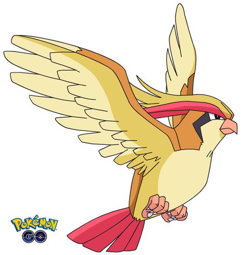 Pokemon Pidgeot, Original 151 Pokemon, Flying Type Pokemon, Pokemon Original, Bird Pokemon, 150 Pokemon, 151 Pokemon, Pokemon Sketch, Ash Pokemon