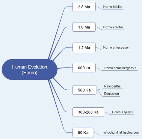 This human evolution mind map template introduces a period of human evolution which gives some inspirations on further researches on evolution. Get started with this free use of biological evolution mind map and fill in more information easily. Human Figure Mind Map, Alcohol Phenol Ether Mind Map, Evolution Mind Map, Human Growth And Development Notes, Human Evolution Timeline, Mind Map Free, Homo Habilis, Mind Map Template, Human Evolution