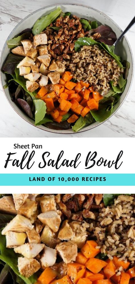 This Easy Sheet Pan Chicken & Sweet Potato Fall Salad Bowl is full of delicious and seasonal vegetables. Top your lettuce with roasted sweet potatoes & chicken, quinoa, pecans and finish it with an apple cider vinaigrette to create the most flavorful salad! Sweet Potatoes Chicken, Easy Sheet Pan Chicken, Sweet Potato Salad Recipe, Apple Cider Vinaigrette, Potatoes Chicken, Sweet Potato Bowls, Cider Vinaigrette, Balsamic Vinegar Chicken, Quinoa Sweet Potato