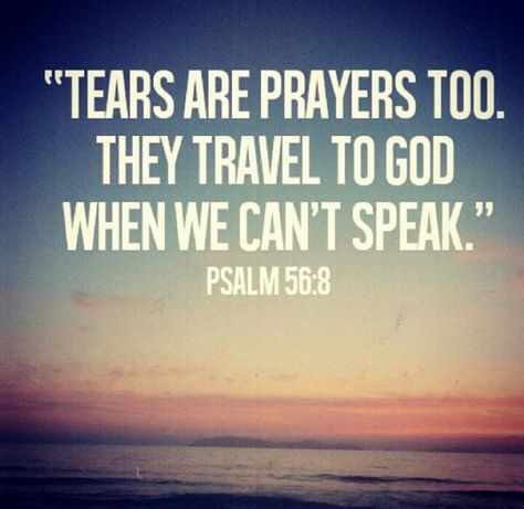 Truth.com Psalm 56 8, Listening Quotes, Tears Quotes, Truth Ideas, Faith Encouragement, Quotes God, Quotes Deep Meaningful, Faith Prayer, Sarcastic Quotes Funny