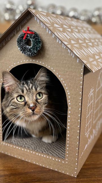 Diy Cat Gingerbread House, Gingerbread Cat House, Cat Gingerbread House, Gingerbread Cat, Cardboard Gingerbread House, Cat House Diy, Meowy Christmas, Shipping Boxes, Lumberjack