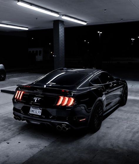 Ford Mustang Gt 5 0, Black Ford Mustang Gt, Mastung Car, Ford Mustang Ecoboost Black, 2019 Ford Mustang Gt, Mustang Gt 5.0 Black, Mustang 2024 Black, All Black Mustang Gt, Mustang Aesthetic Night