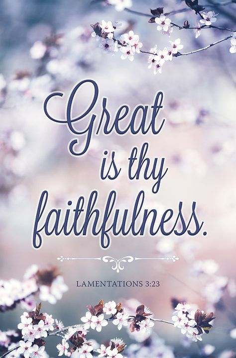 Church Bulletin Covers, Great Is Thy Faithfulness, Praise Worship, Church Bulletin, Bible Quotes Images, Gods Love Quotes, Peace Of God, Bible Study Verses, Bible Verses Quotes Inspirational