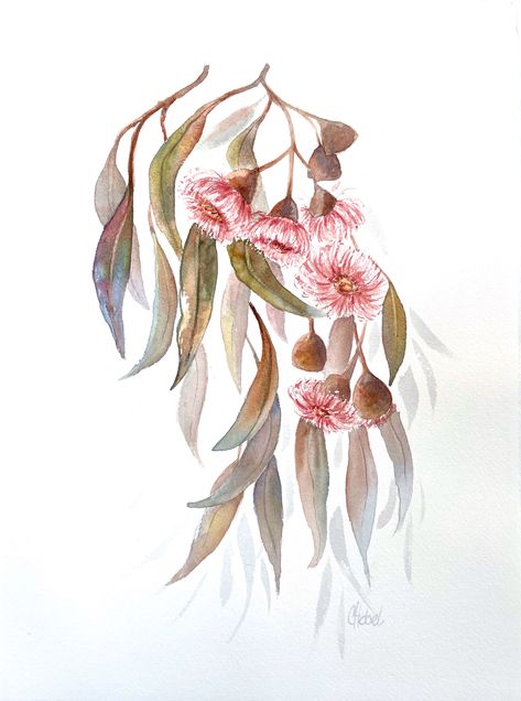 "Pink Gum Blossoms Original Australian Native Flowers Watercolour Painting " by Chris Hobel. Paintings for Sale. Bluethumb - Online Art Gallery Watercolor Native Flowers, Australian Flowers Watercolour, Australian Native Artwork, Australian Native Flowers Watercolour, Watercolour Botanical Flowers, Australian Native Tattoo Sleeve, Australian Native Art, Australian Native Flowers Tattoo, Australian Native Flowers Illustration