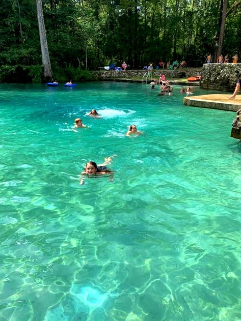 3 Natural Springs in Northwest Florida You Don't Want to Miss - Finding Mandee Northern Florida Things To Do, Morrison Springs Florida, Crystal Springs Florida, Cold Swimming, Florida Vacation Spots, Natural Water Slide, Florida History, Northern Florida, Florida Camping