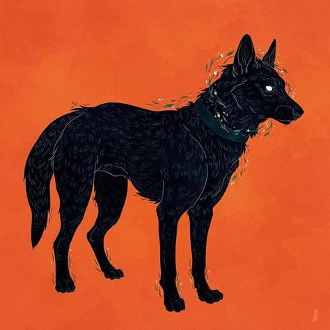 Your heart's a coarse black dog.  #artistsoninstagram #digitalart #illustration #design #canine #dog #black #foliage #shuck #grim #dappermouth Black Dog, Orange, Black, Art