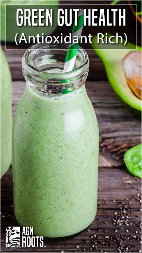 Green Gut Whey Protein Smoothie Recipe Smoothie For Gut Health, Smoothies For Gut Health, Healthy Smoothies For Gut Health, Gut Health Smoothie, Gut Healing Smoothie, Whey Protein Smoothie Recipes, Leaky Gut Healing Smoothies, Green Drink For Gut Health, Green Smoothie Recipes For Gut Health