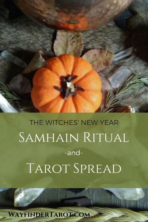 Samhain Ritual Witchcraft, Ancestral Work, Samhain Tarot, Samhain Altar, Read Tarot, Samhain Ritual, Witch Powers, Pagan Festivals, Oh My Goddess